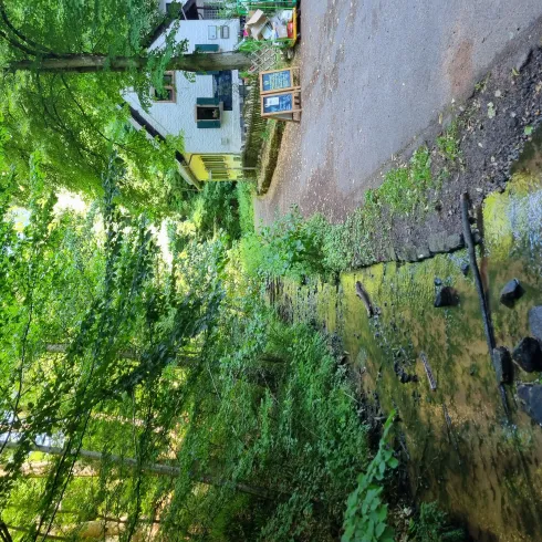 Forsthaus mit Mußbach Forsthaus mit Mußbach