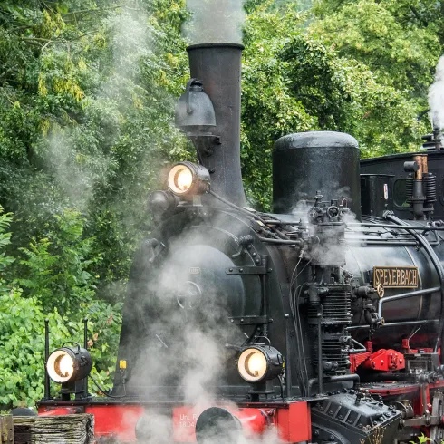 Eine dampfende Lokomotive fährt durch eine grüne Landschaft. Der Rauch steigt aus dem Schornstein auf und erzeugt eine nostalgische Atmosphäre.