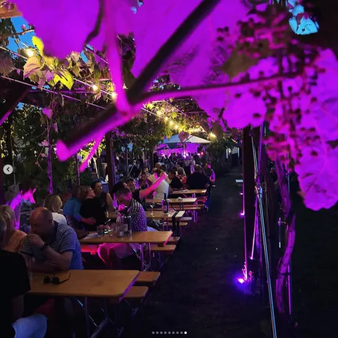 Eine lebhafte Außenveranstaltung mit langen Tischen unter Weinreben. Die Szene ist stimmungsvoll beleuchtet mit lila Licht und vielen Gästen, die sich amüsieren.