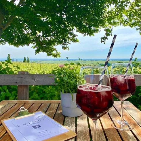 Zwei Gläser mit einem Getränk auf einem Holztisch, umgeben von grünen Weinreben. Im Hintergrund sind Bäume und ein klarer Himmel zu sehen.