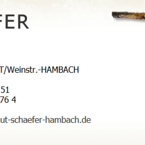 Ein Logo des Weinguts Schäfer mit Kontaktinformationen und einer Abbildung von Weinstöcken. Die Darstellung ist einfach und klar gestaltet.