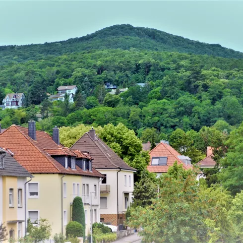 Blick vom Balkon