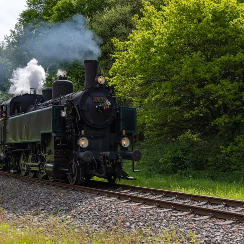 Eine alte Dampflok fährt auf einem Gleis entlang grüner Bäume. Die Lokomotive stößt Rauch aus und zieht einige Waggons hinter sich her.