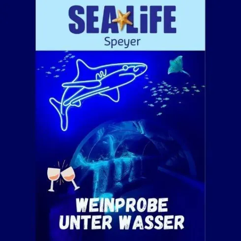 Weinprobe unter Wasser © Weingut Schäfer (© Weingut Schäfer)