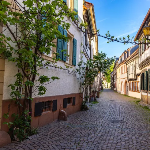 Mittelgasse Neustadt Mittelgasse Neustadt