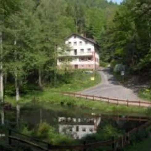 Ein malerisches Haus am Waldrand, umgeben von grünen Bäumen. In der Nähe fließt ein ruhiger Teich, der die Natur widerspiegelt.