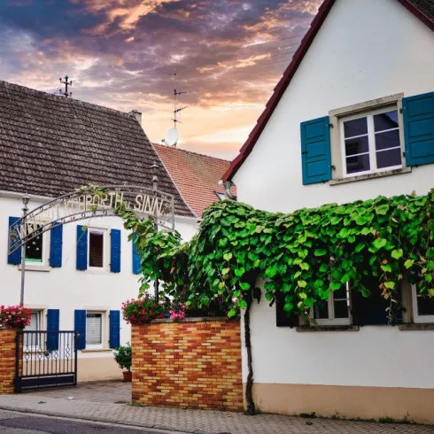 Ein charmantes Haus mit grüner Pflanzenverkleidung und blauen Fensterläden. Der Himmel ist farbenfroh und die Umgebung wirkt einladend.
