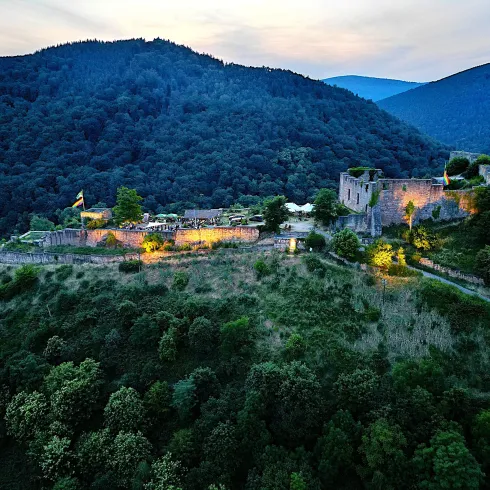 Eine beeindruckende Burg auf einem Hügel, umgeben von grünen Wäldern. Die Abenddämmerung verleiht der Szene eine magische Atmosphäre.