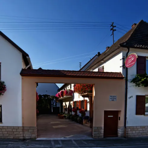 Syring-Lingenfelder