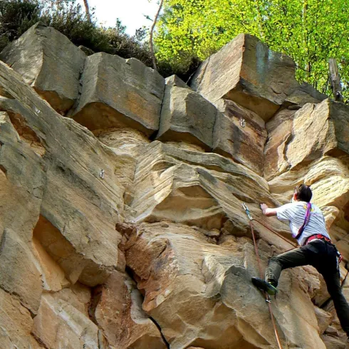 Eine Person klettert an einer steilen Felswand. Im Hintergrund sind Bäume und grünes Laub zu sehen.