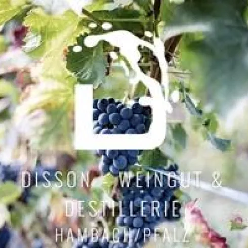 LOGO ©Weingut Disson