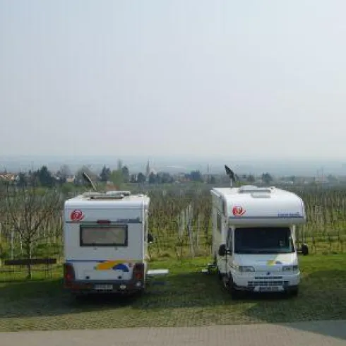 Zwei Wohnmobile stehen auf einem Platz inmitten von Weinbergen. Im Hintergrund ist eine sanfte Landschaft zu sehen.