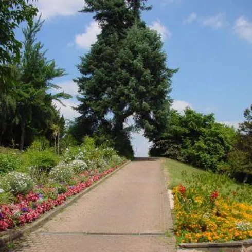 Ein schöner Weg durch einen Garten, gesäumt von bunten Blumen. Im Hintergrund steht ein großer Baum unter einem blauen Himmel.