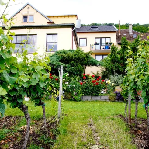 Ein weinreicher Garten mit Reihen von Reben und bunten Blumen. Im Hintergrund steht ein mehrstöckiges Haus.
