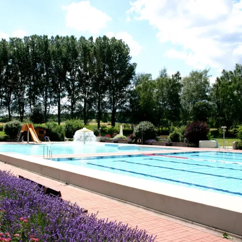 Freibad Hettenleidelheim Schwimmerbecken Freibad Hettenleidelheim Schwimmerbecken