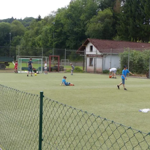 Eine Gruppe von Kindern spielt Fußball auf einem Kunstrasenplatz. Im Hintergrund sind Bäume und ein kleines Gebäude zu sehen.
