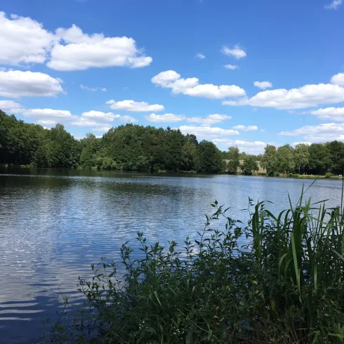 Mohrmühlweiher, Ansicht 1 (© FVZV Pfälzer Bergland, Foto: Ludmilla Schwarz)