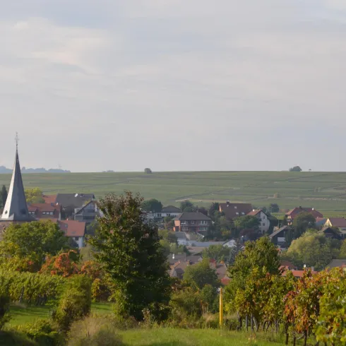 Blick auf Großkarlbach mit Kirchturm