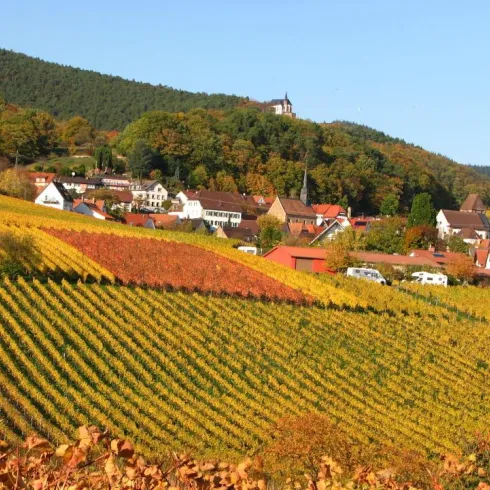 Stellplatz im Herbst (© Winzerhof am Teufelsberg)