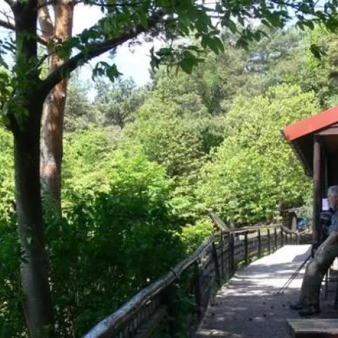 Trifelsblickhütte am Teufelsberg (© Trifelsblick Hütte)