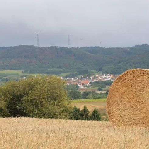Ausblick vom Hang des Steinbergs auf Reichweiler (© FVZV Pfälzer Bergland; Foto Jürgen Wachowski)