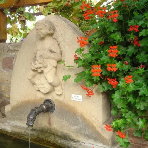 <p>Liebesbrunnen mit Sandsteinfigur und Trauben an der Rückseite . Rote Geranien umrahmen den Brunnen.