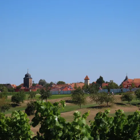 Blick auf Dackenheim (© Elke Metzger)