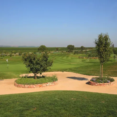 Zwei Bäume auf einem Areal zum Einlochen mit Golfplatz und blauem Himmel im Hintergrund
