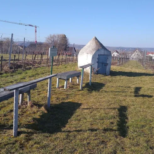 Ein Landschaft zwischen den weinreeben in der zwei Holzbänke und kleine Holztische. Hinter den Bänken steht ein kleines Betonhaus mit einer blauen Stahltür.