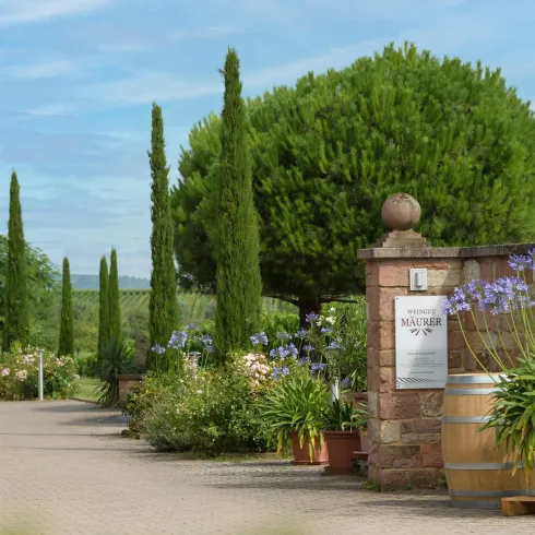<p>Der Eingang zum Weingut ist mit einer Sandsteinmauer begrenzt. Ein Weinfass und zahlreiche Kübelpflanzen säumen den Weg. Zypressen und große Nadelbäume runden den mediterranen Stil ab.</p>