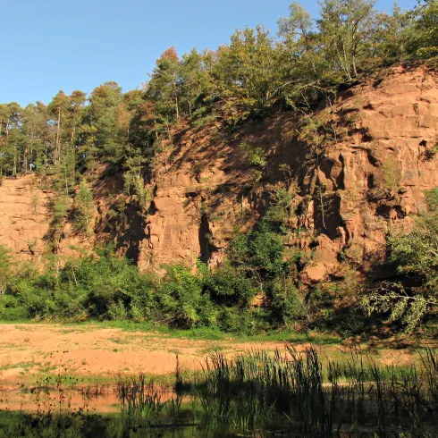 Eine beeindruckende Felswand mit grünem Bewuchs und klarem Himmel. Im Vordergrund sind flaches Wasser und hohe Pflanzen zu sehen.