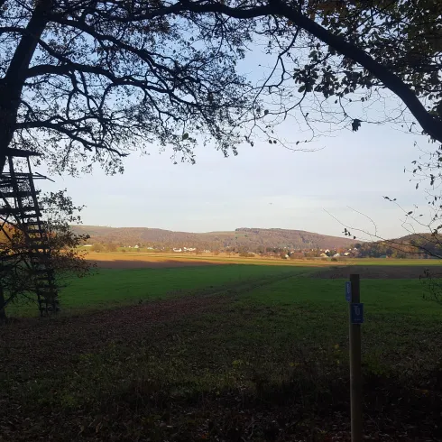 Sandhasenweg Jägerstuhl