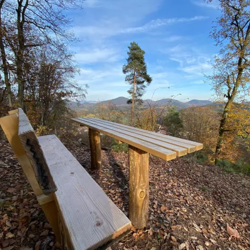 Eine Holzbank auf einem Hügel mit Blick auf die umliegenden Berge. Bäume und Laub umgeben die Bank in einer herbstlichen Landschaft.