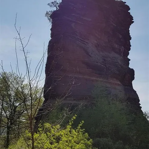 Ein hoher Felsen steht von dichten Bäumen umgeben unter einem hellen Himmel. Oben auf dem Felsen wächst ein kleiner Baum.