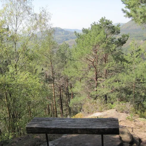 Picknickplatz (© Verein SÜW Annweiler e.V.)