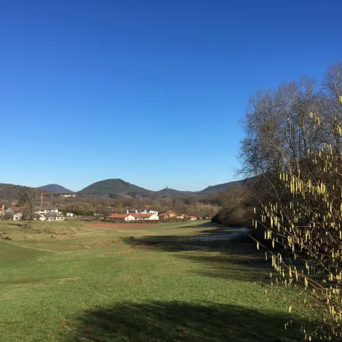 Eine grüne Landschaft mit sanften Hügeln und einem klaren blauen Himmel. Im Hintergrund sind ein Dorf und einige Bäume zu sehen.