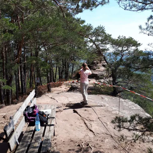 Picknickplatz (© Verein SÜW Annweiler e.V.)