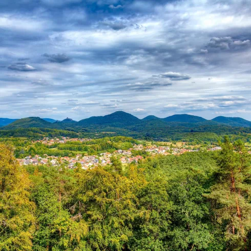 4-Burgen-Blick (© Wohlrabe Quadronet, Verein SÜW Annweiler e.V.)