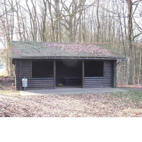 Ein einfaches Holzhaus im Wald, umgeben von Bäumen und Laub. Der Raum ist offen und einladend, ideal für Aktivitäten in der Natur.