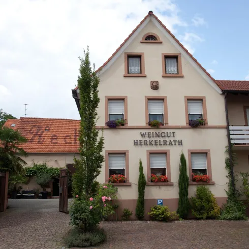 Weingut Herkelrath, Obrigheim Hausansicht