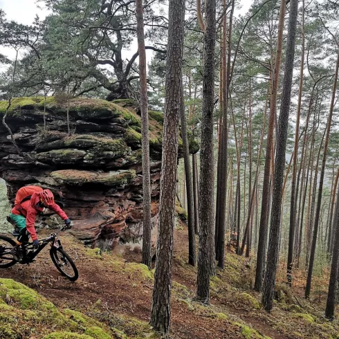 Trailbike (© Wald und Wasser Natursport GbR)