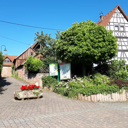 Ortsansicht (© Verein SÜW Annweiler e.V)