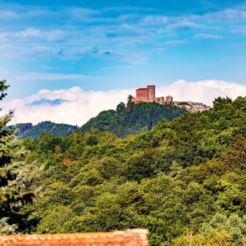 Trifelsblick ab Radweg Wernersberg (© Wohlrabe Quadronet, Verein SÜW Annweiler e.V.)