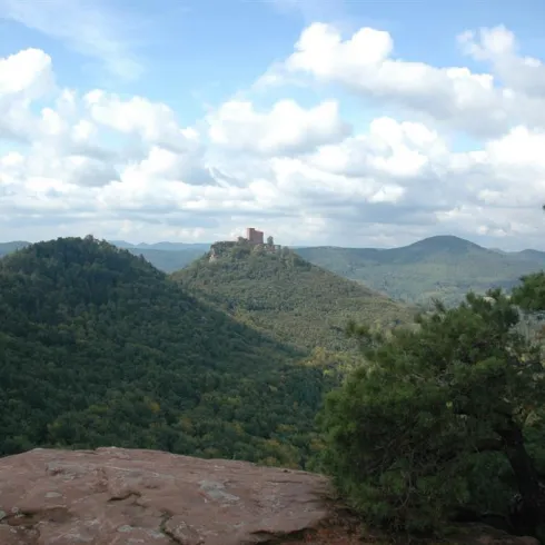Eine beeindruckende Landschaft mit sanften Hügeln und viel Grün. In der Ferne steht eine alte Burg auf einem Hügel.