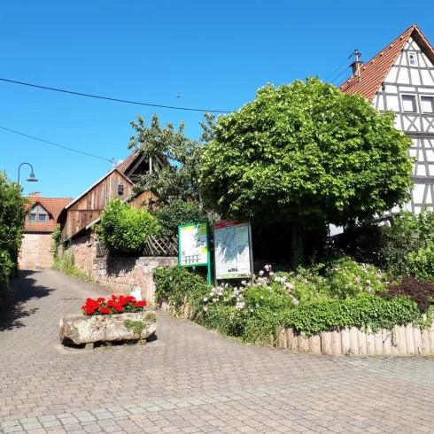 Eine malerische Straße mit historischen Fachwerkhäusern und üppigem Grün. Bunte Blumenrabatten ergänzen die charmante Atmosphäre bei strahlend blauem Himmel.