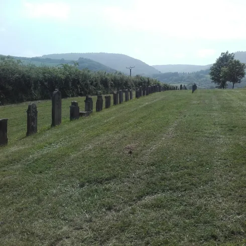 Eine grüne Wiese mit einer Reihe von Steinen und sanften Hügeln im Hintergrund. Der Himmel ist bewölkt und es gibt einige Bäume in der Nähe.