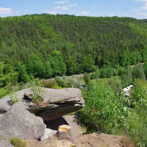 Eine beeindruckende Aussicht auf einen grünen Wald mit sanften Hügeln. Im Vordergrund sind große Felsen und frisches Grün zu sehen.