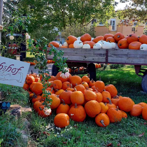 Handrichshof Meckenhem - Pfalz
