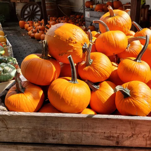 Ein Holzbehälter voller leuchtend orangefarbener Kürbisse steht auf einem Markt. Im Hintergrund sind weitere Kürbisse und Gemüse sichtbar.