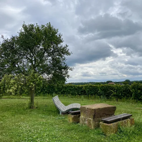Eine ruhige Wiese mit einem Obstbaum und einer Liege. Im Hintergrund erstrecken sich Weinreben unter einem bewölkten Himmel.